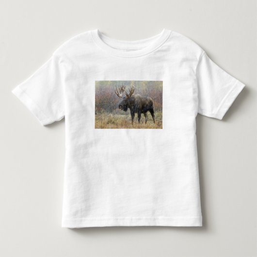 Eland in sneeuwstorm met espbomen kinder shirts (Voorkant)