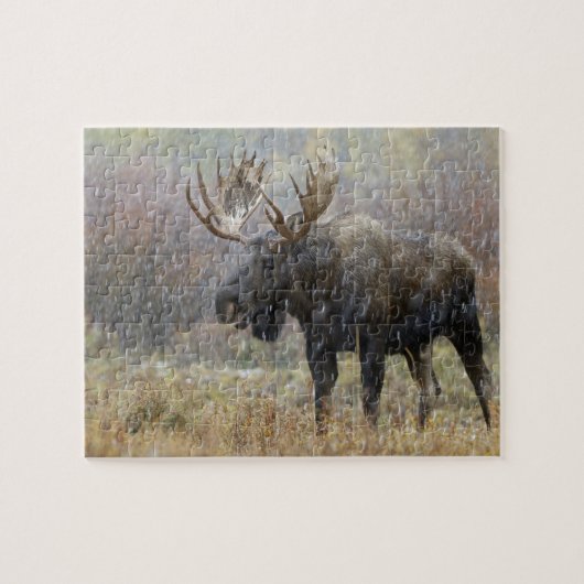 Eland in sneeuwstorm met espbomen legpuzzel (Horizontaal)