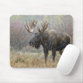Eland in sneeuwstorm met espbomen muismat (Met muis)