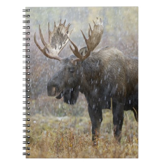 Eland in sneeuwstorm met espbomen notitieboek (Voorkant)