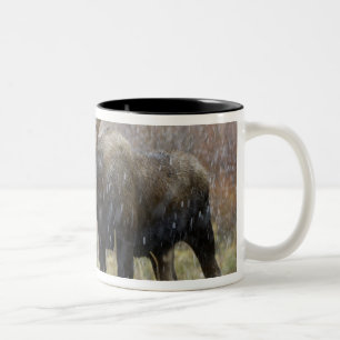 Eland in sneeuwstorm met espbomen tweekleurige koffiemok