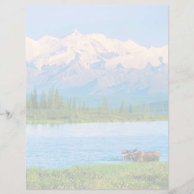 Eland in Wonder Lake (Voorkant)