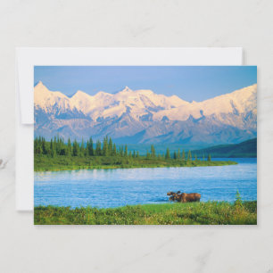 Eland in Wonder Lake Bedankkaart