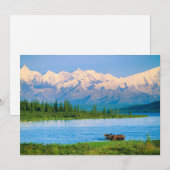 Eland in Wonder Lake Bedankkaart (Voorkant / Achterkant)