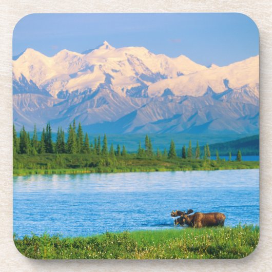 Eland in Wonder Lake Bier Onderzetter (Voorkant)