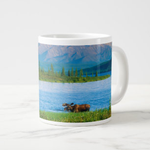 Eland in Wonder Lake Grote Koffiekop