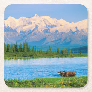 Eland in Wonder Lake Kartonnen Onderzetters