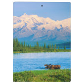 Eland in Wonder Lake Klembord (Achterkant)