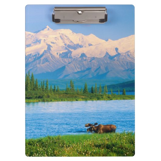 Eland in Wonder Lake Klembord (Voorkant)