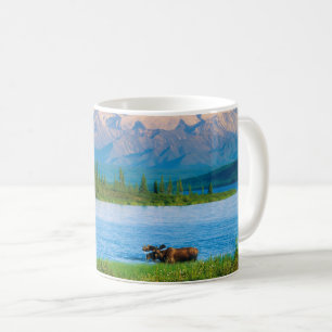 Eland in Wonder Lake Koffiemok