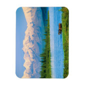Eland in Wonder Lake Magneet (Verticaal)