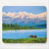Eland in Wonder Lake Muismat (Voorkant)