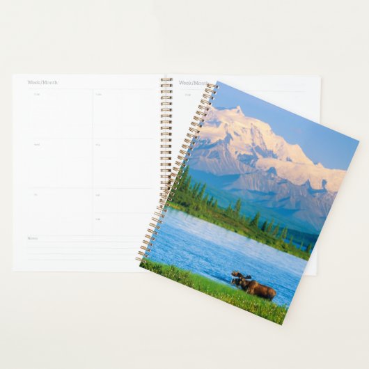 Eland in Wonder Lake Planner (Display)