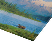 Eland in Wonder Lake Snijplank (Hoek)