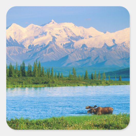 Eland in Wonder Lake Vierkante Sticker (Voorkant)