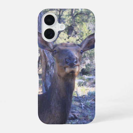 Eland iPhone 16 Hoesje (Achterkant)