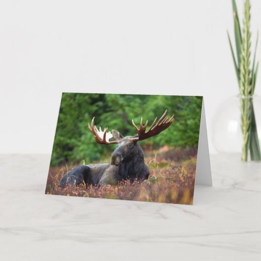 Eland Kaart (Voorkant)