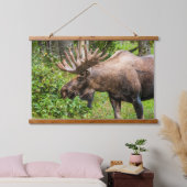 Eland | Kenai-schiereiland, Alaska Hangend Wandkleed (Slaapkamer)