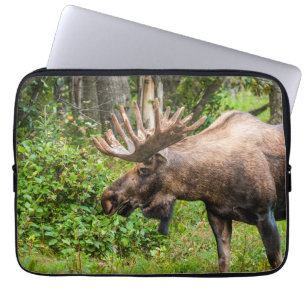 Eland Kenai-schiereiland, Alaska Laptop Sleeve
