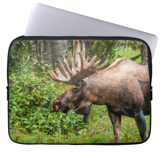 Eland | Kenai-schiereiland, Alaska Laptop Sleeve (Voorkant)