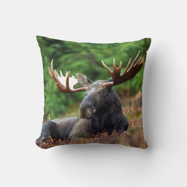 Eland Kussen (Voorkant)