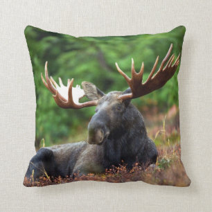 Eland Kussen