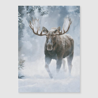 Eland loopt door boreale sneeuw