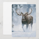 Eland loopt door boreale sneeuw (Voorkant / Achterkant)