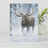 Eland loopt door boreale sneeuw (Staand voorkant)