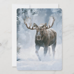Eland loopt door boreale sneeuw