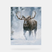 Eland loopt door boreale sneeuw acryl bord (Voorkant)