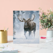 Eland loopt door boreale sneeuw acryl bord (Huwelijk)