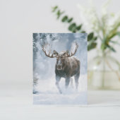 Eland loopt door boreale sneeuw briefkaart (Staand voorkant)