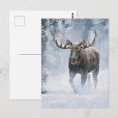 Eland loopt door boreale sneeuw briefkaart (Voorkant / Achterkant)