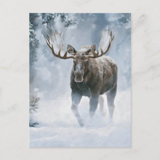 Eland loopt door boreale sneeuw briefkaart