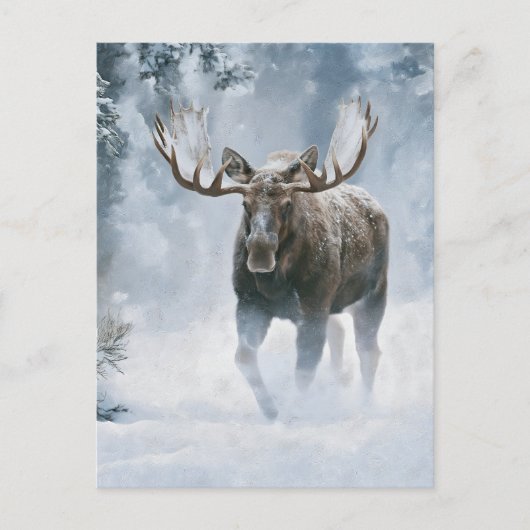 Eland loopt door boreale sneeuw briefkaart (Voorkant)