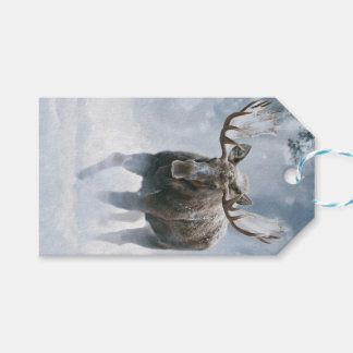 Eland loopt door boreale sneeuw cadeaulabel