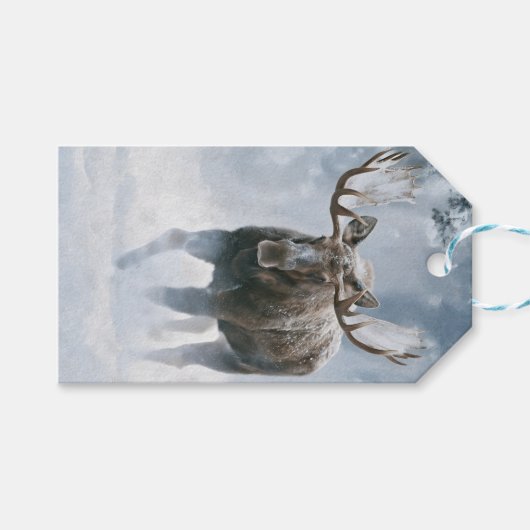 Eland loopt door boreale sneeuw cadeaulabel (Voorkant (Horizontaal))