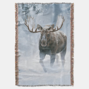 Eland loopt door boreale sneeuw deken