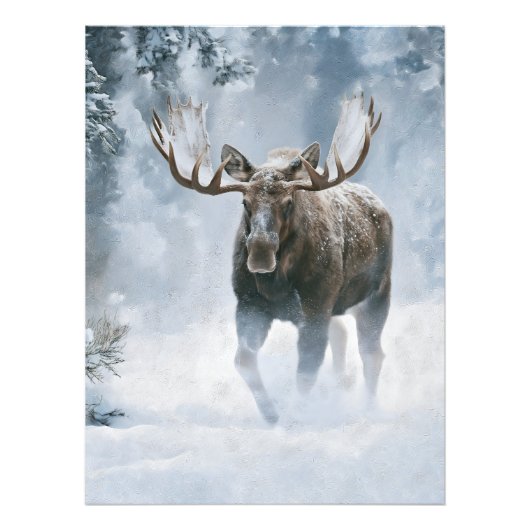 Eland loopt door boreale sneeuw foto afdruk (Voorkant)