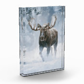 Eland loopt door boreale sneeuw fotoblokken (Links)