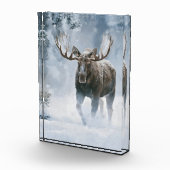 Eland loopt door boreale sneeuw fotoblokken (Rechts)