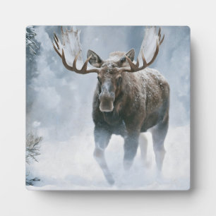 Eland loopt door boreale sneeuw fotoplaat