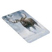 Eland loopt door boreale sneeuw magneet (Rechterzijde)