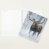 Eland loopt door boreale sneeuw planner (Display)