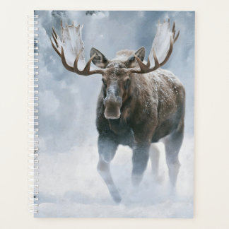 Eland loopt door boreale sneeuw planner