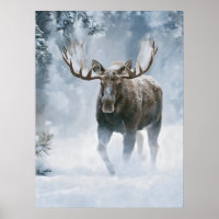 Eland loopt door boreale sneeuw