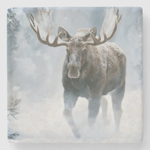 Eland loopt door boreale sneeuw stenen onderzetter