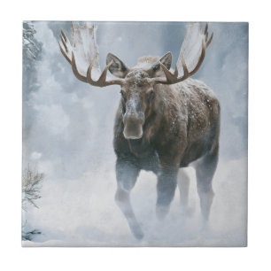 Eland loopt door boreale sneeuw tegeltje