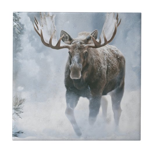 Eland loopt door boreale sneeuw tegeltje (Voorkant)
